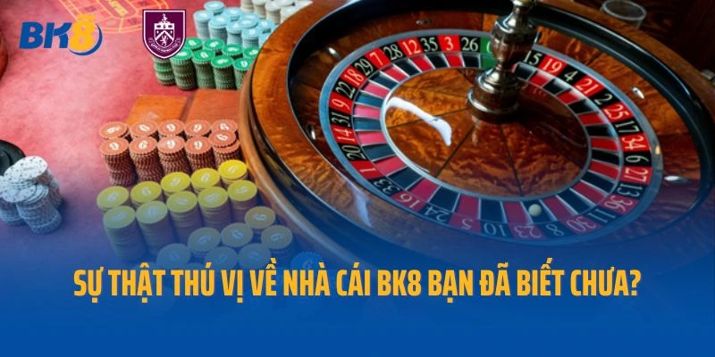 Sự thật thú vị về nhà cái BK8 bạn đã biết chưa?
